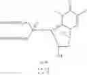 Fig. 28 - Oligomer-nucleoside phosphate conjugates