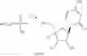 Fig. 32 - Oligomer-nucleoside phosphate conjugates