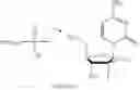 Fig. 33 - Oligomer-nucleoside phosphate conjugates
