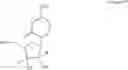 Fig. 41 - Oligomer-nucleoside phosphate conjugates