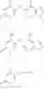 Fig. 44 - Oligomer-nucleoside phosphate conjugates