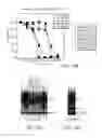 Fig. 13 - Imidazolidinone compounds, methods to inhibit deubiquitination and methods of treatment