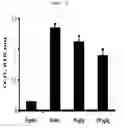 Fig. 08 - ANTI-INFLAMMATORY COMPOSITION CONTAINING DOCOSAHEXAENOYL LYSOPHOSPHATIDYLAMINE AS AN ACTIVE INGREDIENT
