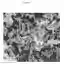Fig. 02 - Method and composition to improve absorption of therapeutic agents