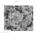 Fig. 03 - Method and composition to improve absorption of therapeutic agents