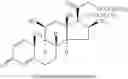 Fig. 02 - PHARMACEUTICAL COMPOSITION INCLUDING A CORTICOSTEROID AND A VITAMIN D ANALOG HAVING IMPROVED STABILITY