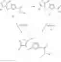 Fig. 06 - Pyrazoles