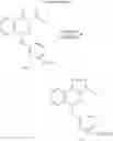 Fig. 06 - TRIAZOLOPHTHALAZINES