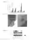 Fig. 03 - Compositions and methods for identifying agents which modulate PTEN function and PI-3 kinase pathways