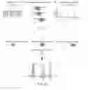 Fig. 02 - Methods and materials for genetic analysis of tumors