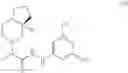 Fig. 06 - N-PHENYL HYDRAZIDES AS MODULATORS OF THE GHRELIN RECEPTOR