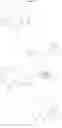 Fig. 29 - N-PHENYL HYDRAZIDES AS MODULATORS OF THE GHRELIN RECEPTOR