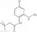Fig. 54 - Pyrazine derivatives and their use as potassium channel modulators
