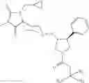 Fig. 76 - SPIROHYDANTOIN COMPOUNDS AND METHODS FOR THE MODULATION OF CHEMOKINE RECEPTOR ACTIVITY