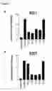 Fig. 02 - Method of inhibiting intimal hyperplasia
