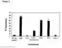 Fig. 06 - Method of inhibiting intimal hyperplasia