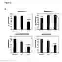 Fig. 09 - Method of inhibiting intimal hyperplasia