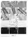 Fig. 03 - PERIPHERAL AND NEURAL INFLAMMATORY CROSSTALK