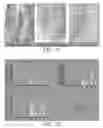 Fig. 09 - PERIPHERAL AND NEURAL INFLAMMATORY CROSSTALK