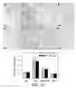 Fig. 16 - PERIPHERAL AND NEURAL INFLAMMATORY CROSSTALK