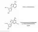 Fig. 01 - METHODS FOR INCREASING IN VIVO EFFICACY OF OLIGONUCLEOTIDES AND INHIBITING INFLAMMATION IN MAMMALS