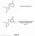 Fig. 02 - METHODS FOR INCREASING IN VIVO EFFICACY OF OLIGONUCLEOTIDES AND INHIBITING INFLAMMATION IN MAMMALS