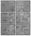 Fig. 01 - ANTISENSE OLIGONUCLEOTIDES FOR TREATING ATOPIC DISEASES AND NEOPLASTIC CELL PROLIFERATION