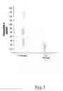Fig. 02 - ANTISENSE OLIGONUCLEOTIDES FOR TREATING ATOPIC DISEASES AND NEOPLASTIC CELL PROLIFERATION