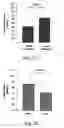 Fig. 03 - ANTISENSE OLIGONUCLEOTIDES FOR TREATING ATOPIC DISEASES AND NEOPLASTIC CELL PROLIFERATION
