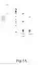 Fig. 04 - ANTISENSE OLIGONUCLEOTIDES FOR TREATING ATOPIC DISEASES AND NEOPLASTIC CELL PROLIFERATION