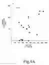 Fig. 06 - ANTISENSE OLIGONUCLEOTIDES FOR TREATING ATOPIC DISEASES AND NEOPLASTIC CELL PROLIFERATION