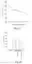 Fig. 22 - ANTISENSE OLIGONUCLEOTIDES FOR TREATING ATOPIC DISEASES AND NEOPLASTIC CELL PROLIFERATION