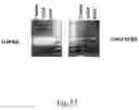Fig. 23 - ANTISENSE OLIGONUCLEOTIDES FOR TREATING ATOPIC DISEASES AND NEOPLASTIC CELL PROLIFERATION