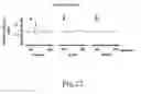 Fig. 27 - ANTISENSE OLIGONUCLEOTIDES FOR TREATING ATOPIC DISEASES AND NEOPLASTIC CELL PROLIFERATION