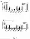 Fig. 02 - MicroRNAs for inhibiting viral replication