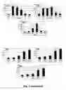 Fig. 03 - MicroRNAs for inhibiting viral replication