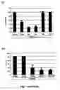 Fig. 04 - MicroRNAs for inhibiting viral replication