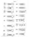 Fig. 06 - Identification of novel genes coding for small temporal RNAS