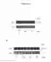 Fig. 07 - Methods of Protection from Oxidative Stress
