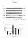Fig. 08 - Methods of Protection from Oxidative Stress
