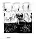 Fig. 07 - Micro-RNAs modulating immunity and inflammation
