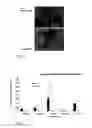 Fig. 20 - Micro-RNAs modulating immunity and inflammation