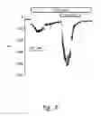 Fig. 07 - Compositions and methods for therapy for diseases characterized by defective chloride transport