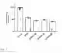 Fig. 07 - Quarternization of the additive amino alkylmethacrylate copolymer E for improving permeability and solubility of pharmaceuticals