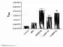 Fig. 08 - Quarternization of the additive amino alkylmethacrylate copolymer E for improving permeability and solubility of pharmaceuticals
