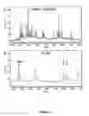 Fig. 02 - Multiplex detection of hepatitis virus variations
