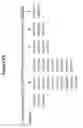 Fig. 09 - Multiplex detection of hepatitis virus variations