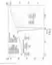Fig. 04 - Amorphous compound and production method thereof