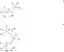 Fig. 08 - Complexes and method for synthesis of group 4 organometallics grafted on anions olefin oligomerization and polymerization method