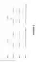 Fig. 03 - Polypeptide libraries with a predetermined scaffold
